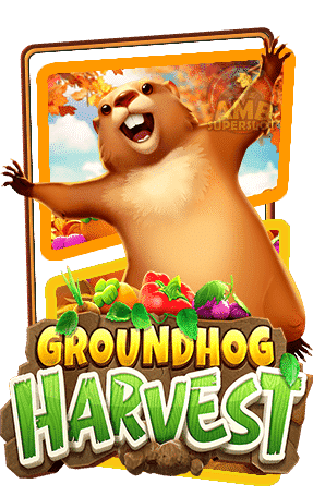 สล็อต pg แตกง่าย Groundhog Harvest