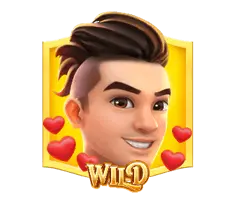 สัญลักษณ์ Wild
